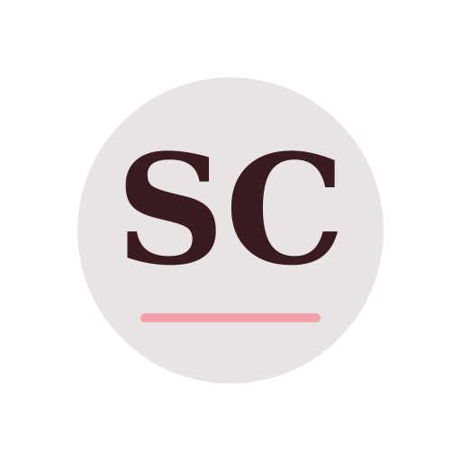 Seth Chimney Repair logo